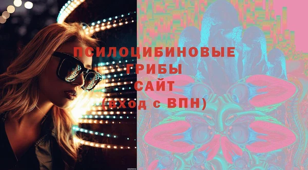 мет Алексин