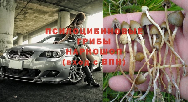 индика Алексеевка