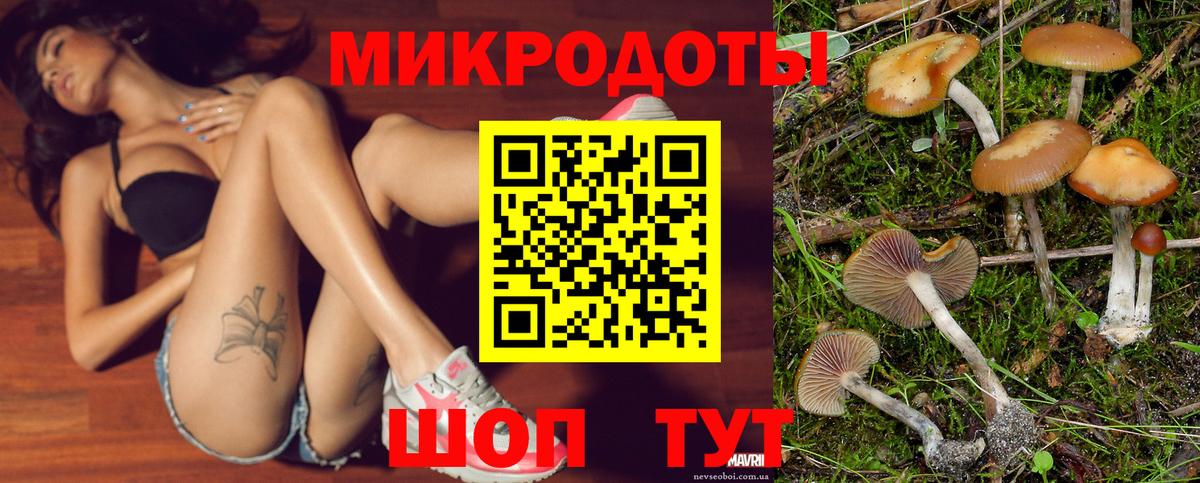 Псилоцибиновые грибы Psilocybine cubensis Сочи