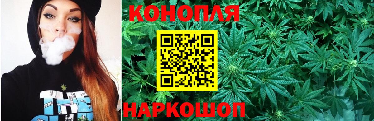Шишки марихуана планчик Сочи